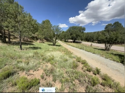 Gavilan Subdivision Lot 40 for Sale in Ruidoso, NM - image 5