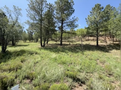 Gavilan Subdivision Lot 40 for Sale in Ruidoso, NM - image 3