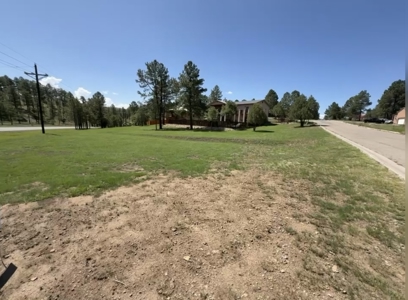 White Mountain Estates Subdivision Lot 41 for Sale in Ruidoso, NM - image 4