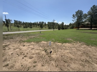 White Mountain Estates Subdivision Lot 41 for Sale in Ruidoso, NM - image 3