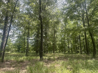 1.25 Acre Riverfront Lot in Gated Prairie Bluff Subdivision - image 22
