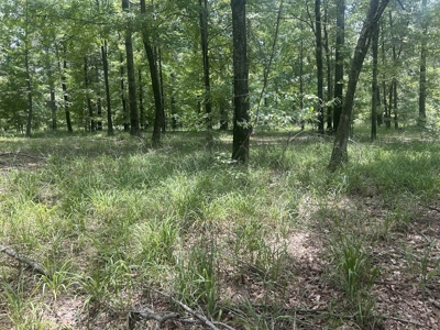 1.25 Acre Riverfront Lot in Gated Prairie Bluff Subdivision - image 21