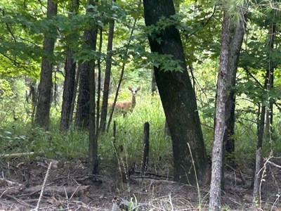 1.25 Acre Riverfront Lot in Gated Prairie Bluff Subdivision - image 27