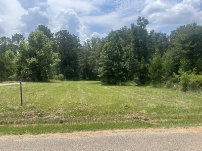 1.25 Acre Riverfront Lot in Gated Prairie Bluff Subdivision - image 17