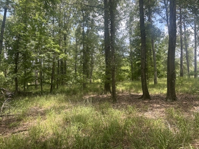 1.25 Acre Riverfront Lot in Gated Prairie Bluff Subdivision - image 23