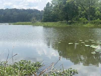 1.25 Acre Riverfront Lot in Gated Prairie Bluff Subdivision - image 12