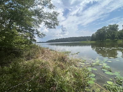 1.25 Acre Riverfront Lot in Gated Prairie Bluff Subdivision - image 9