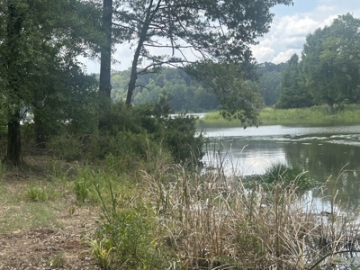 1.25 Acre Riverfront Lot in Gated Prairie Bluff Subdivision - image 15