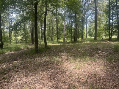 1.25 Acre Riverfront Lot in Gated Prairie Bluff Subdivision - image 24