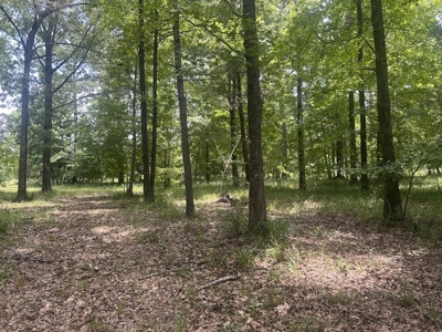 1.25 Acre Riverfront Lot in Gated Prairie Bluff Subdivision - image 26