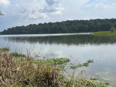 1.25 Acre Riverfront Lot in Gated Prairie Bluff Subdivision - image 8