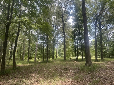 1.25 Acre Riverfront Lot in Gated Prairie Bluff Subdivision - image 25