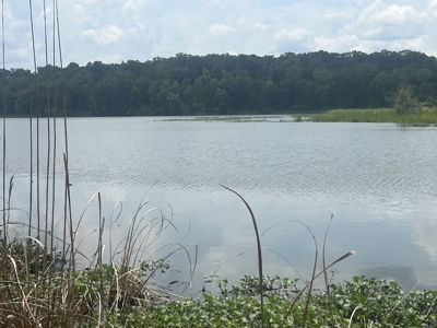 1.25 Acre Riverfront Lot in Gated Prairie Bluff Subdivision - image 13