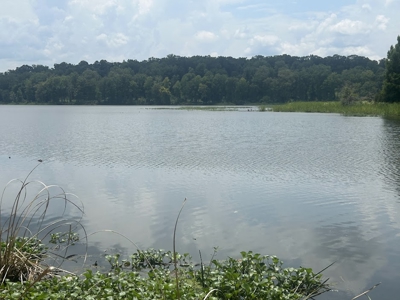 1.25 Acre Riverfront Lot in Gated Prairie Bluff Subdivision - image 10