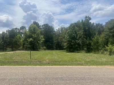 1.25 Acre Riverfront Lot in Gated Prairie Bluff Subdivision - image 16