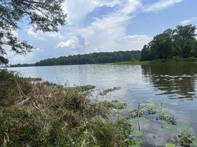 1.25 Acre Riverfront Lot in Gated Prairie Bluff Subdivision - image 5