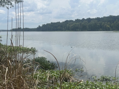 1.25 Acre Riverfront Lot in Gated Prairie Bluff Subdivision - image 11