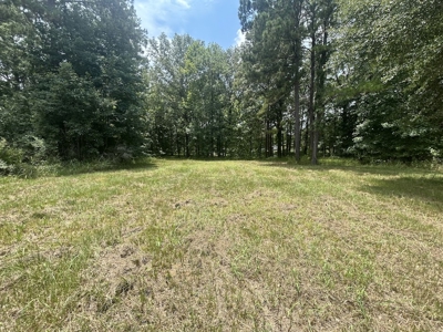 1.25 Acre Riverfront Lot in Gated Prairie Bluff Subdivision - image 19