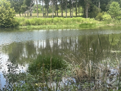 1.25 Acre Riverfront Lot in Gated Prairie Bluff Subdivision - image 14