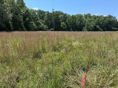 Premium Kerr Lake Waterfront Lot - Build Your Dream Retreat - image 4