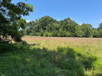 Premium Kerr Lake Waterfront Lot - Build Your Dream Retreat - image 11