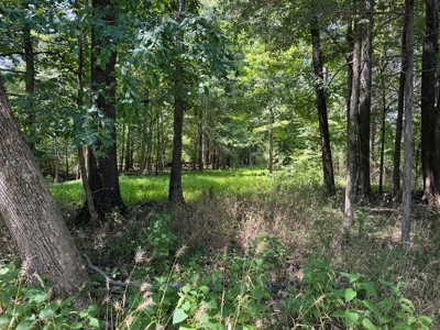 Premium Kerr Lake Waterfront Lot - Build Your Dream Retreat - image 5