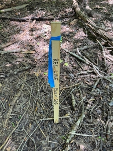 Premium Kerr Lake Waterfront Lot - Build Your Dream Retreat - image 9