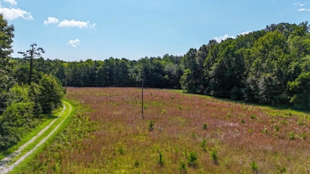 Premium Kerr Lake Waterfront Lot - Build Your Dream Retreat - image 3