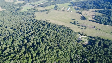 Remodeled Country Home Near Green Forest Arkansas - image 38