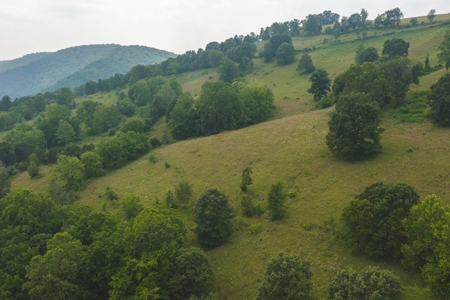 10.42 Unrestricted Acres for sale near Clinch River - image 2