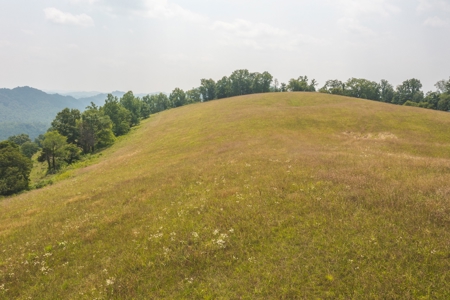 10.42 Unrestricted Acres for sale near Clinch River - image 3