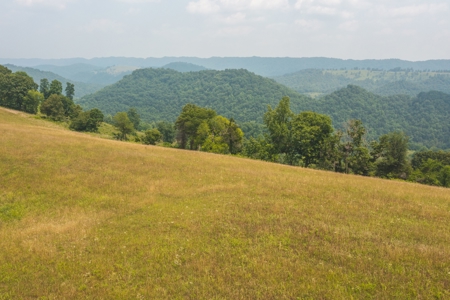 10.42 Unrestricted Acres for sale near Clinch River - image 4