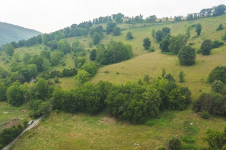 10.42 Unrestricted Acres for sale near Clinch River - image 5