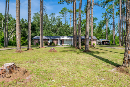 Cozy Country Home for Sale in Live Oak, Florida - image 35