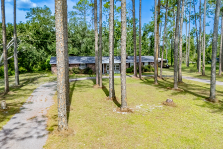 Cozy Country Home for Sale in Live Oak, Florida - image 34