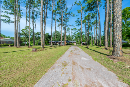 Cozy Country Home for Sale in Live Oak, Florida - image 50