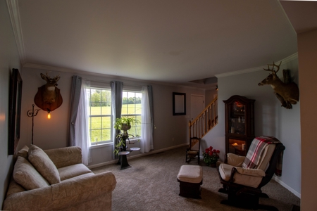 Country Home W/ Acreage For Sale in Upstate NY - image 14