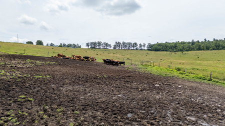 Country Home W/ Acreage For Sale in Upstate NY - image 22