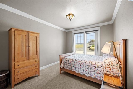 Stunning Country Home Property on 5 Acres in Colfax, Washington! - image 28