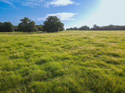 Land For Sale Fannin County Texas Bonham Telephone Hunting - image 36