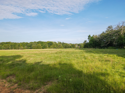 Land For Sale Fannin County Texas Bonham Telephone Hunting - image 29
