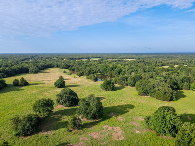 Land For Sale Fannin County Texas Bonham Telephone Hunting - image 21