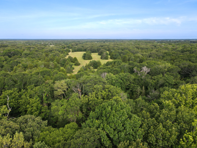 Land For Sale Fannin County Texas Bonham Telephone Hunting - image 14