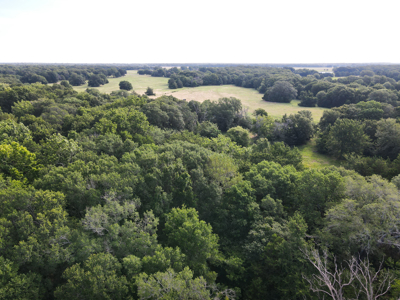 Land For Sale Fannin County Texas Bonham Telephone Hunting - image 12