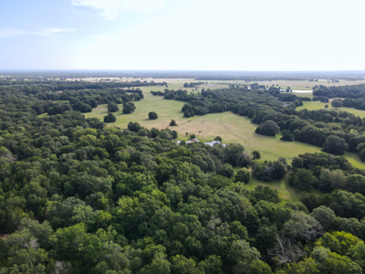 Land For Sale Fannin County Texas Bonham Telephone Hunting - image 10