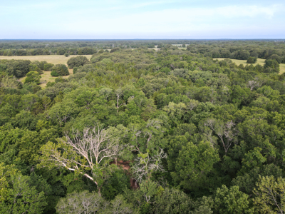 Land For Sale Fannin County Texas Bonham Telephone Hunting - image 13