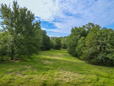 Land For Sale Fannin County Texas Bonham Telephone Hunting - image 26