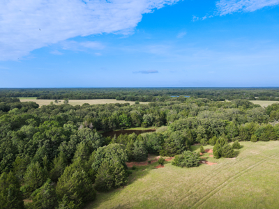 Land For Sale Fannin County Texas Bonham Telephone Hunting - image 8
