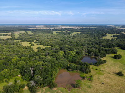 Land For Sale Fannin County Texas Bonham Telephone Hunting - image 16