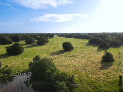 Land For Sale Fannin County Texas Bonham Telephone Hunting - image 34